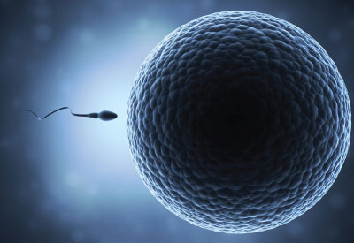 IVF specialist in Jayanagar