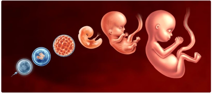 Dr. Prashant Joshi IVF Specialist