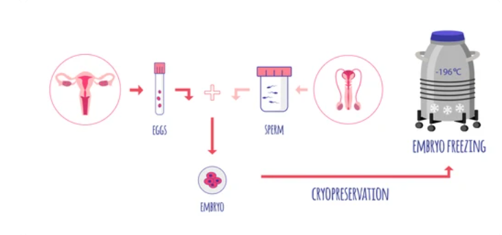 Dr. Prashant Joshi IVF Specialist